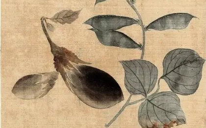 1658997091690965.png image.png