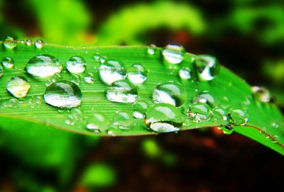 1663232708913631.png image.png