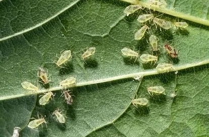 1663232831971591.png image.png