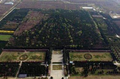 1663226890101917.png image.png