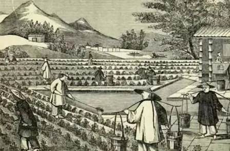 1655694963269472.png image.png