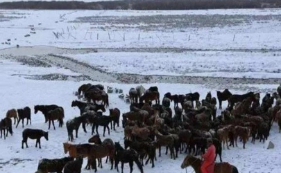 1663121274949502.png image.png