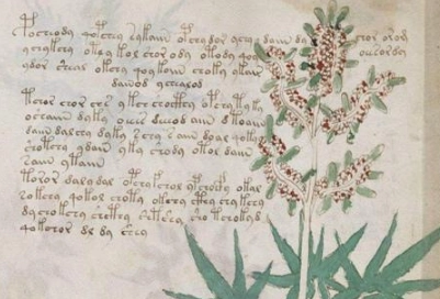 1663060460958162.png image.png