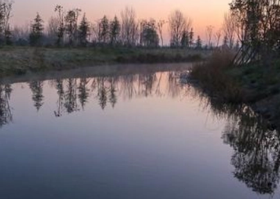 1663055017866194.png image.png