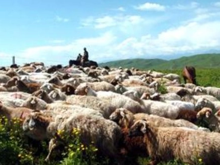 1662871340236895.png image.png