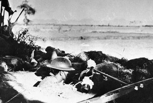 1536631238732947.png image.png