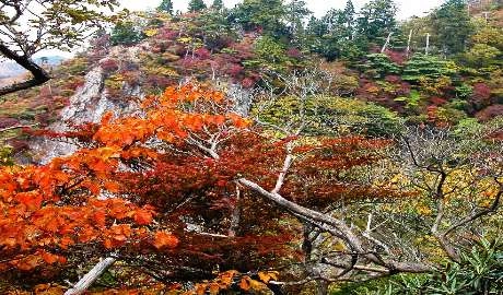 1541558752340866.png image.png