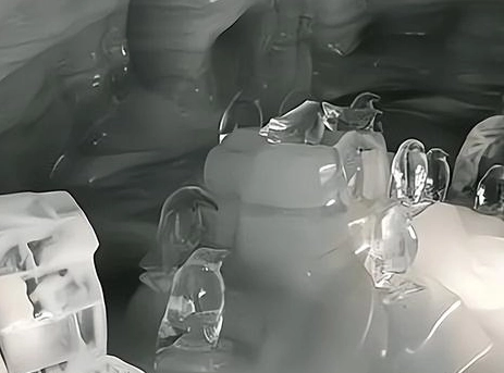 1662702857142966.png image.png