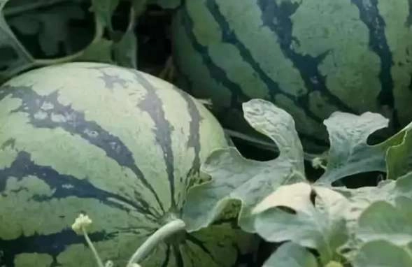 1540616540661227.png image.png