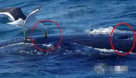 1540273812138528.png image.png