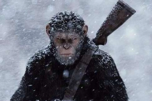 1540176255902283.png image.png