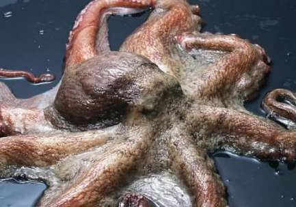 1540344766575780.png image.png