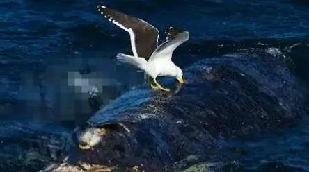 1540273797987901.png image.png