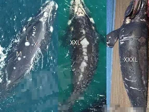 1540273827753050.png image.png