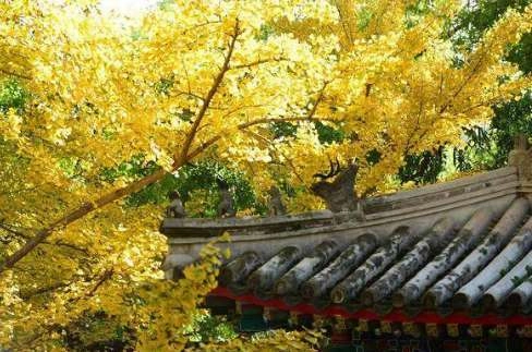 1539830856371648.png image.png