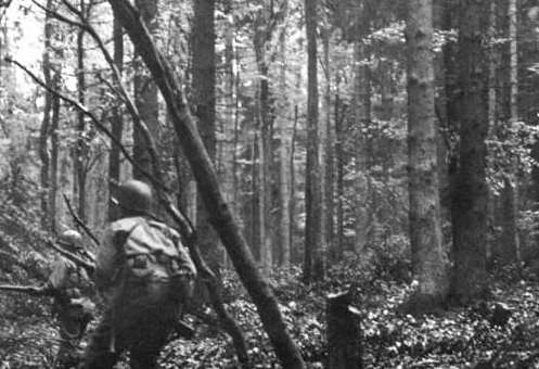 1536030159637642.png image.png