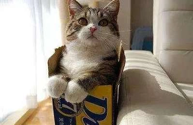 1539230147899433.png image.png