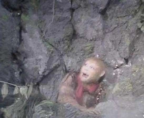 1538983028883153.png image.png