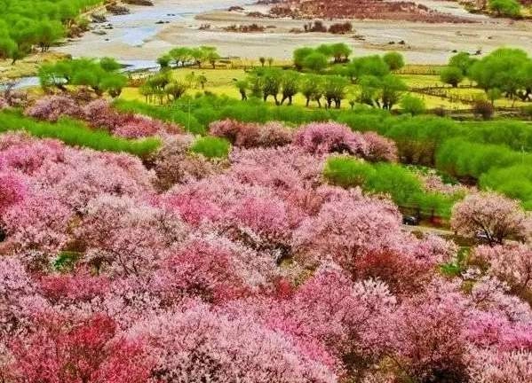 1539053185210302.png image.png