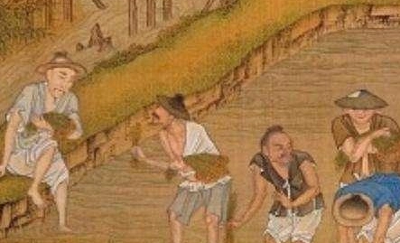 1662432462353352.png image.png