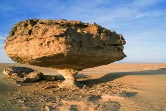 1539055500399558.png image.png