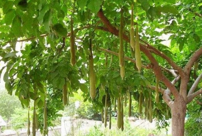 1662433264407470.png image.png