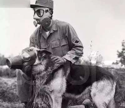 1535771709627333.png image.png