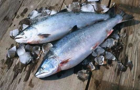 1538105409520372.png image.png