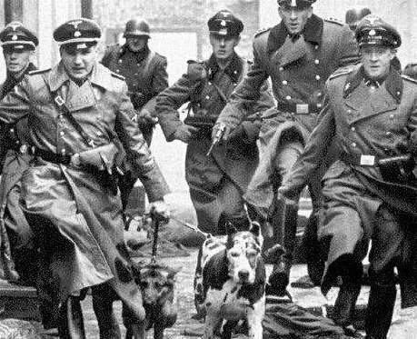 1535421865568242.png image.png