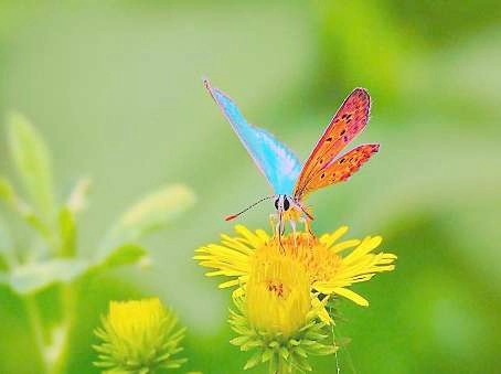 1536833548207208.png blob.png