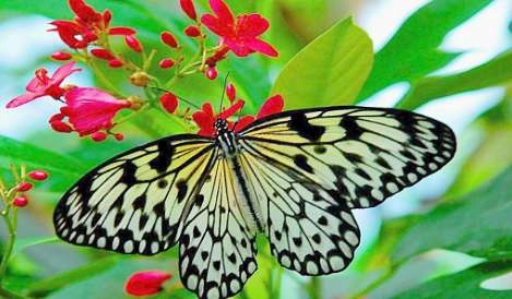 1536833578477895.png blob.png