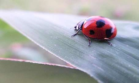 1536833589949235.png blob.png