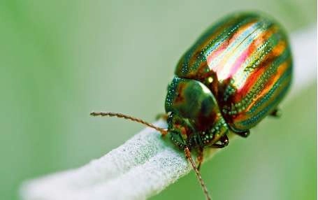 1536833536426485.png blob.png