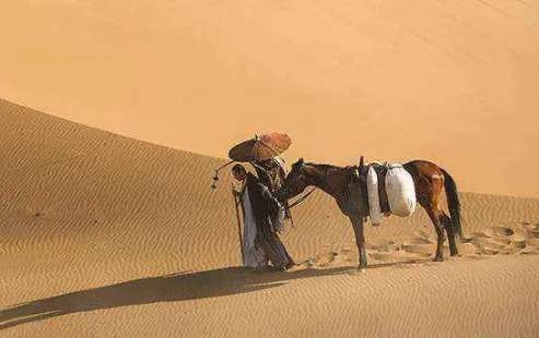 1536730449351504.png image.png