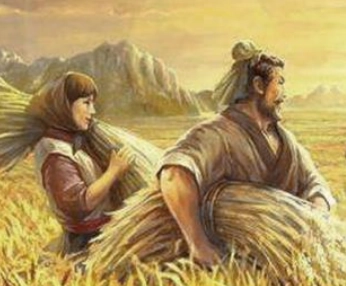 1653900378438088.png image.png