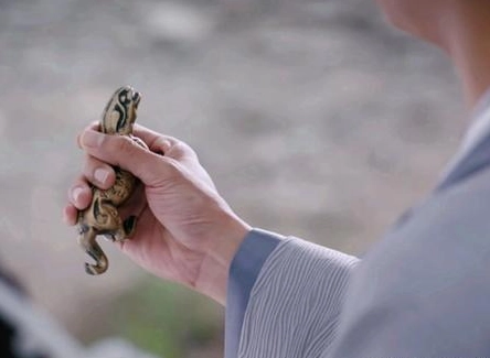 1653903381955029.png image.png