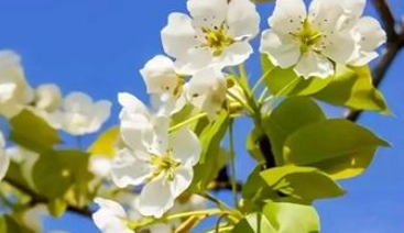 1657596336799240.png 图片.png