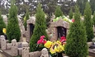 1657596312287438.png 图片.png