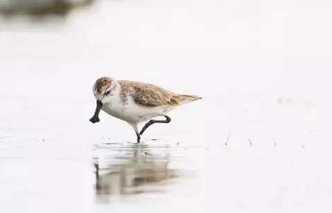 1534483282653203.png image.png