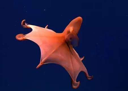 1534483276103386.png image.png