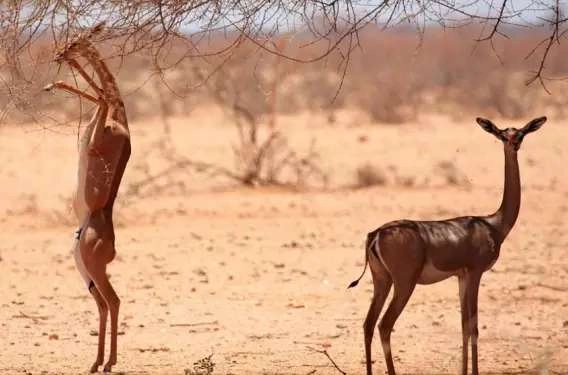 1534483148233054.png image.png