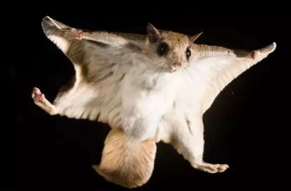 1534483224764426.png image.png