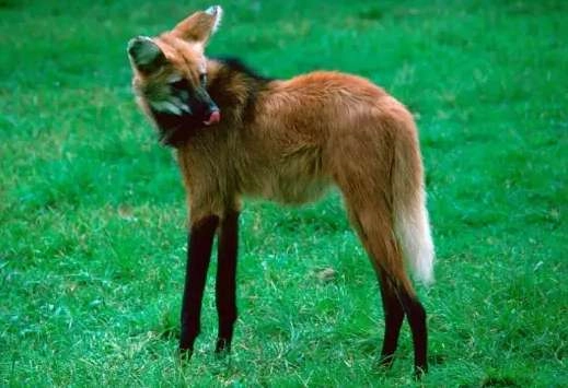 1534483175300577.png image.png