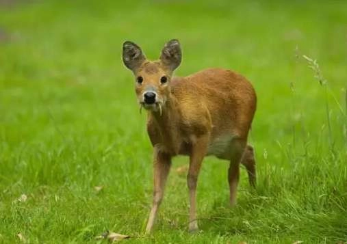 1534483233720167.png image.png