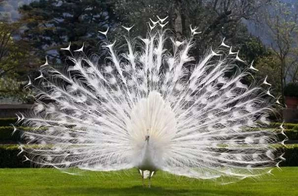 1534483196394575.png image.png