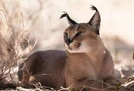 1534483250701985.png image.png