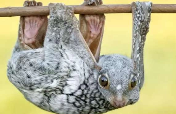 1534483165354687.png image.png