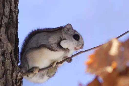 1534483214972962.png image.png