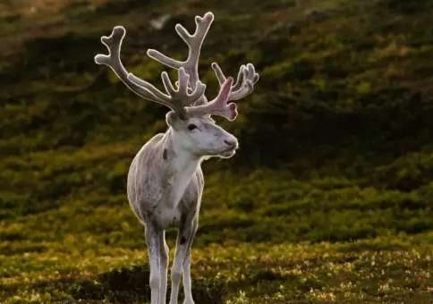 1534483205450298.png image.png