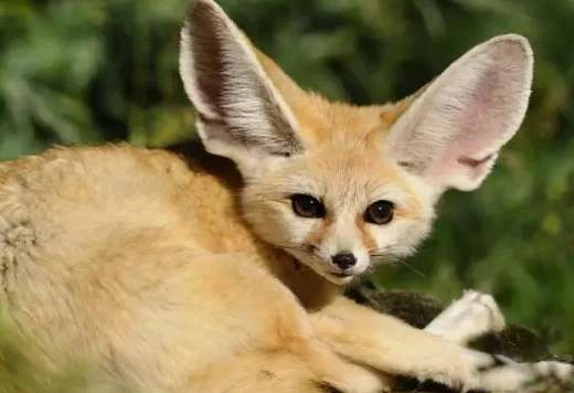 1534483267709583.png image.png